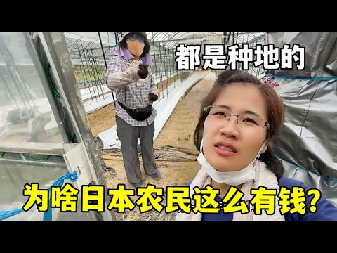 周日,葡超前瞻,里斯本对阵,球探体育,球探直播,球探体育赛事,球探直播,球探官网